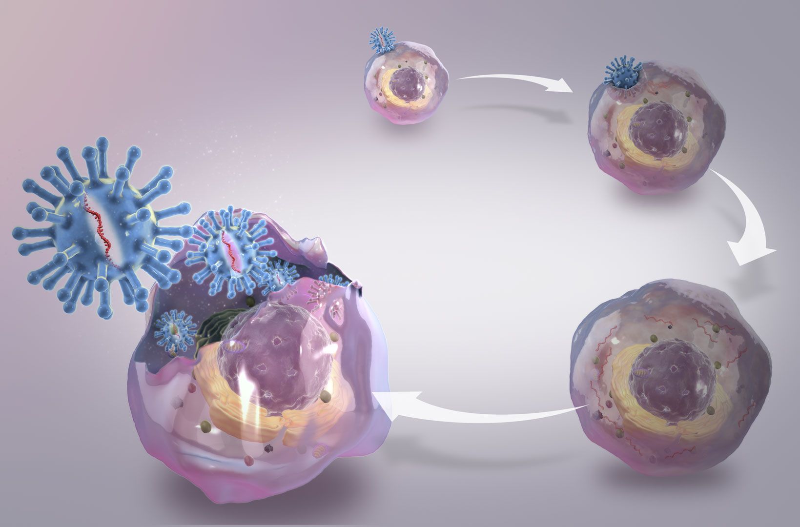 Is gene editing a solution to AIDS? - Scientific Animations