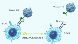 Is Cell-based Immunotherapy a realistic prospect to treat Cancer?