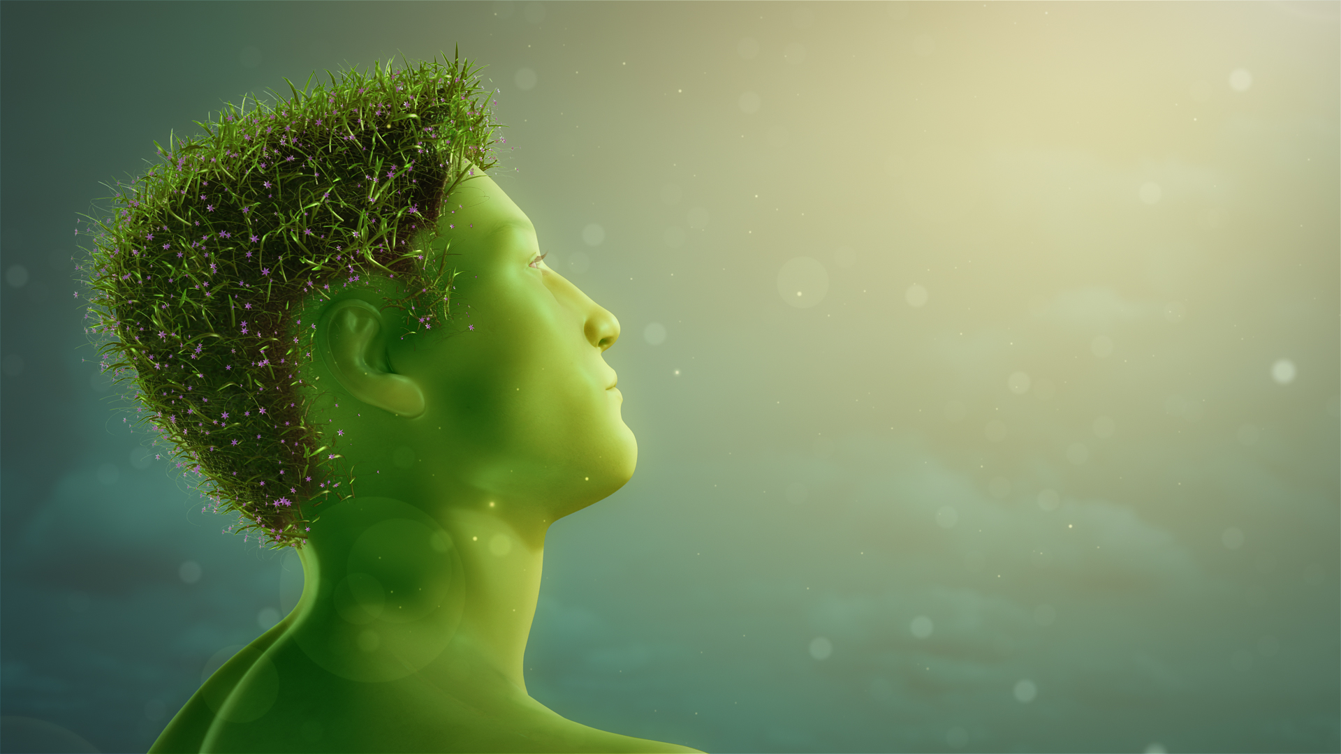 Can Humans Photosynthesize Scientific Animations