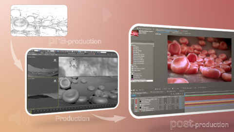 What happens inside a Medical Animation Studio? - Scientific Animations What happens inside a Medical Animation Studio? - Scientific Animations