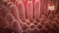 Gluten Sensitivity: How it’s different from Celiac Disease