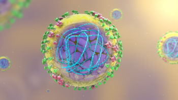 Structure of H1N1 Virion