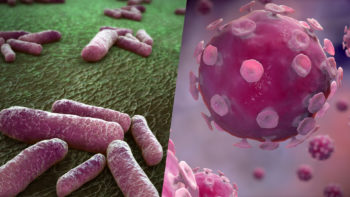 Bacteria and Virus that cause Tonsillitis