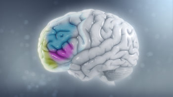 Reduced brain volume on the left side in a child suffering from ADHD