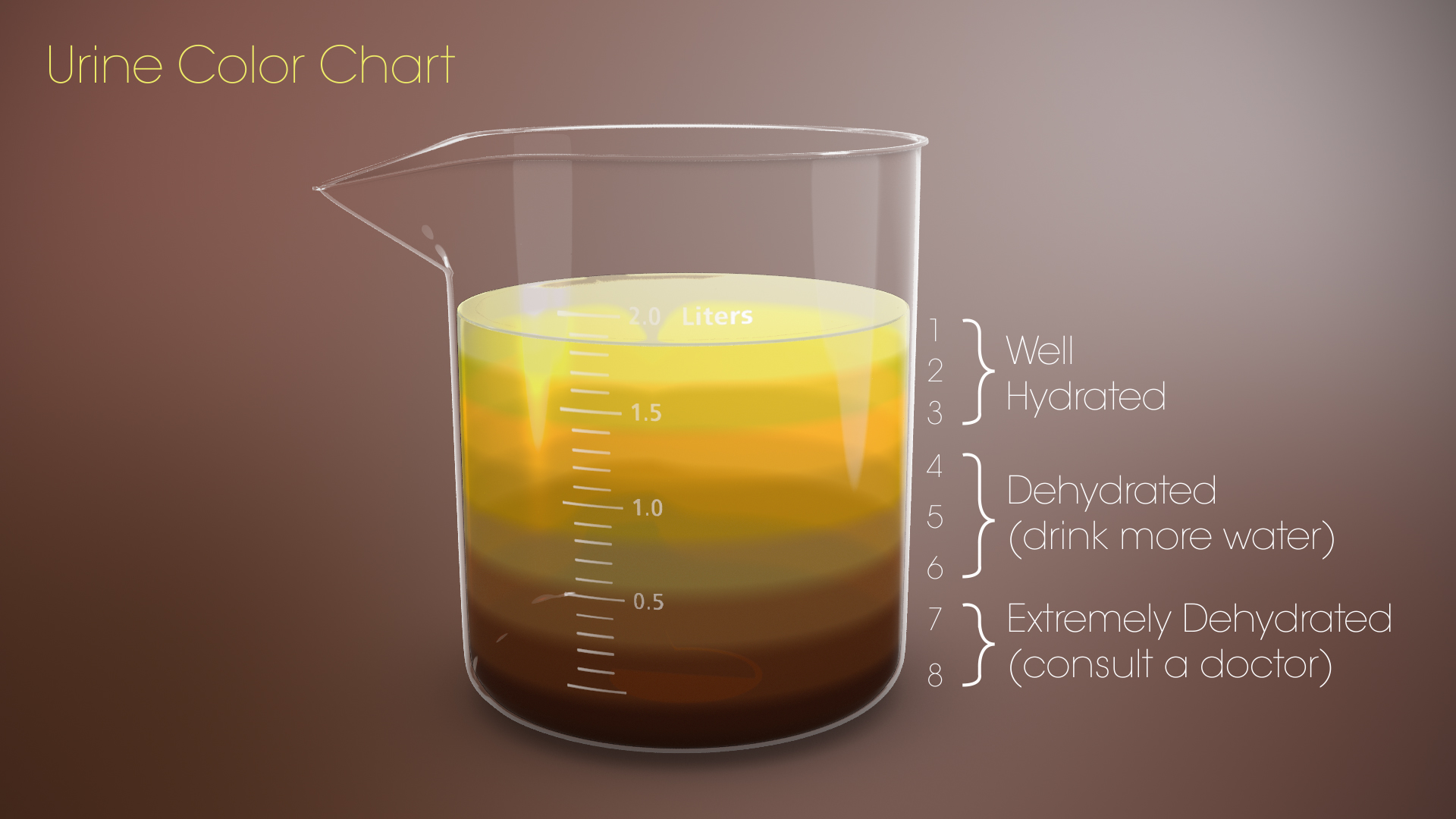 Color Of The Urine Chart