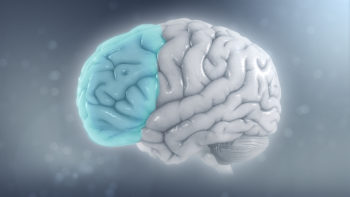 Left prefrontal cortex affected in ADHD