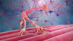 3D medical animation still showing neuron