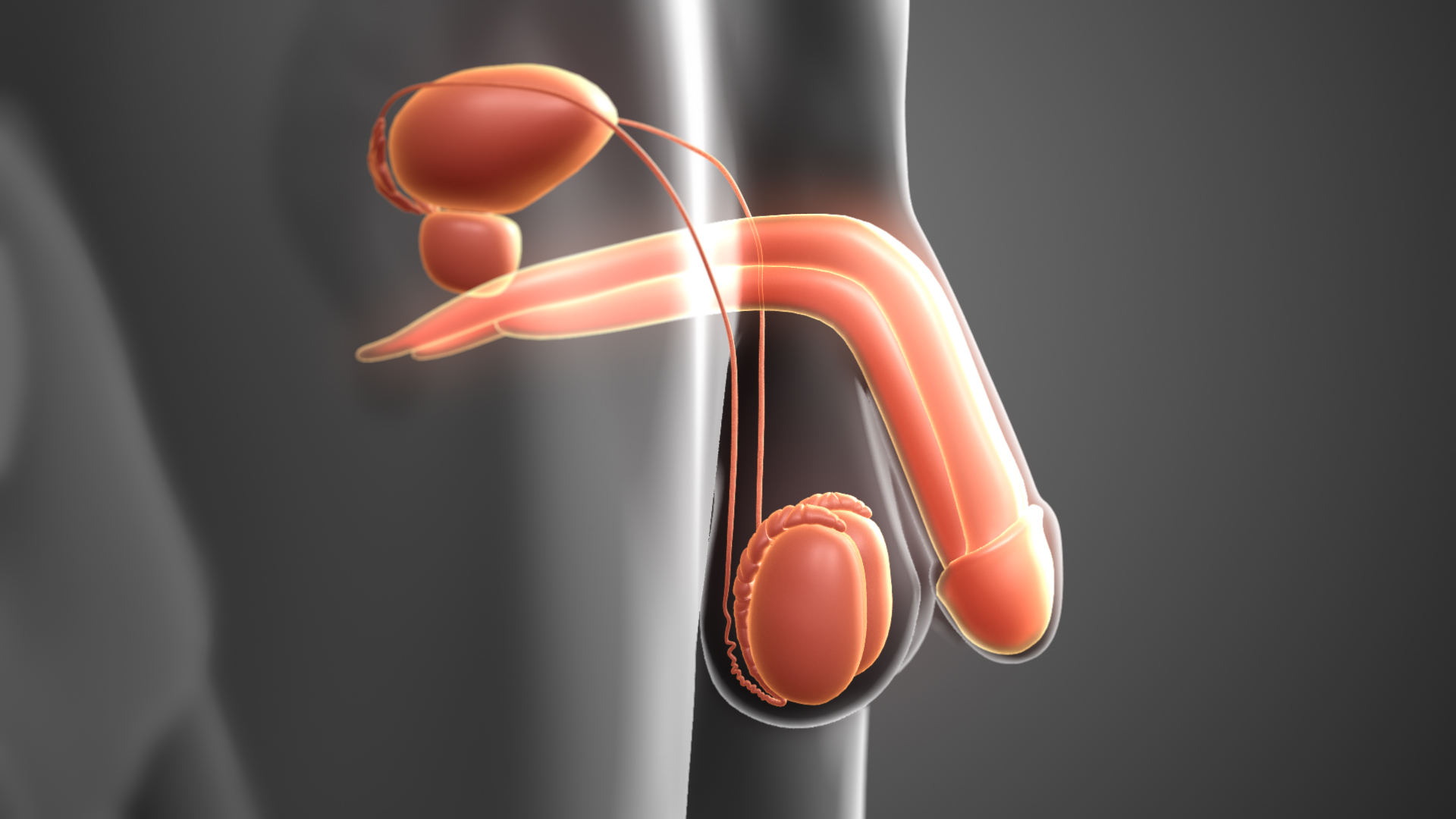 Andropause (Late-onset Hypogonadism): Treatment, Prevention, and Risks