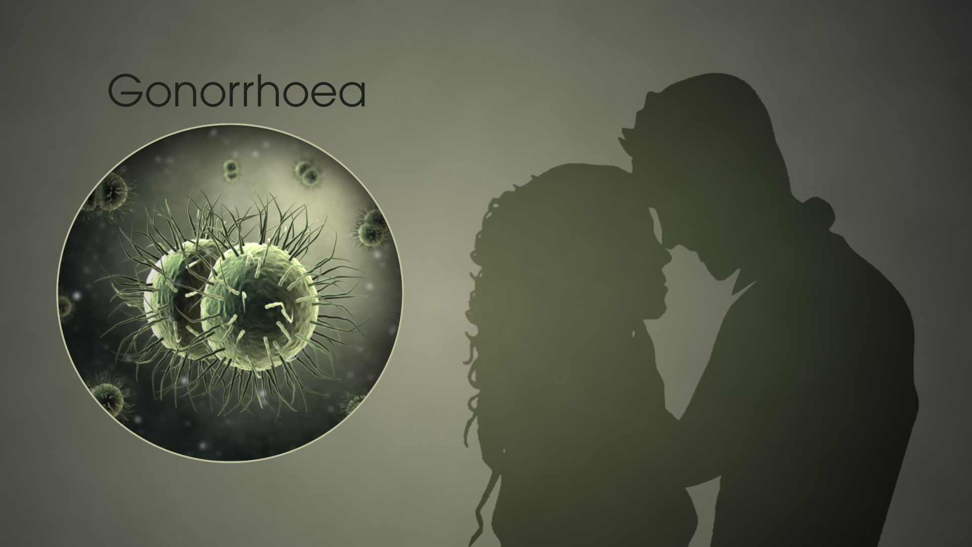 3D Medical Animation still showing sexually transmitted bacterium “Neisseria gonorrhoeae”