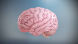 3D medical animation still of Brain