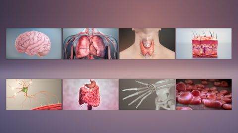 Autoimmune Diseases FI - Scientific Animations