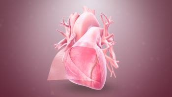 3D medical animation still showing the pericardium layer.