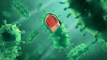 Medical animation still showing rabies virus structure.