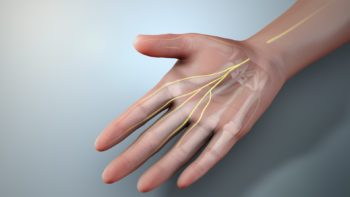 3D medical animation still showing median nerve.