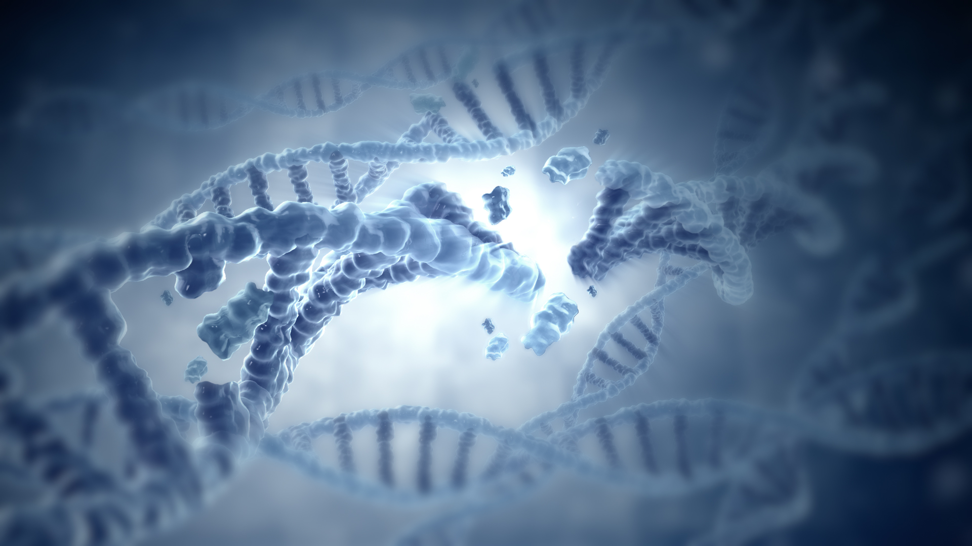 DNA DAMAGE - Scientific Animations