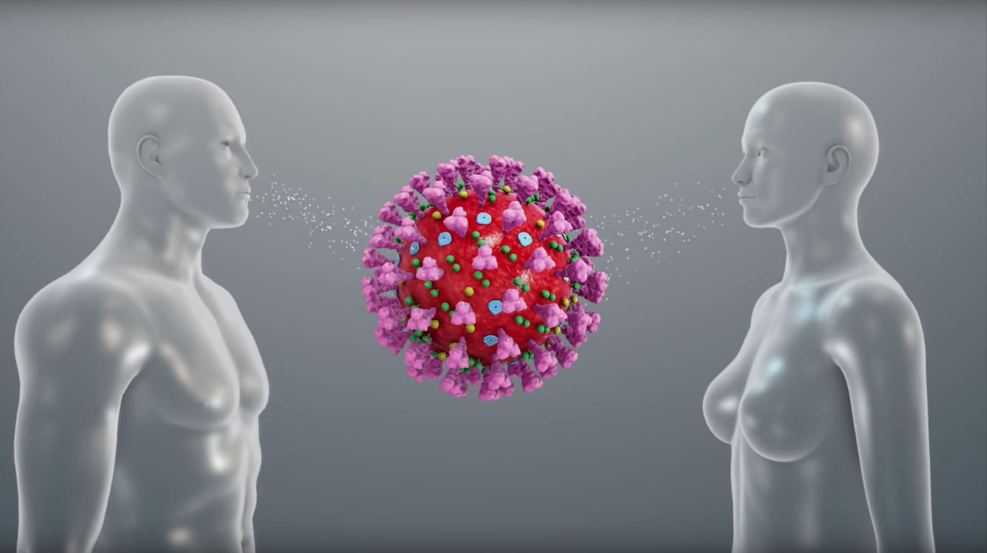 Coronavirus transmission explained using a 3D medical animation still shot