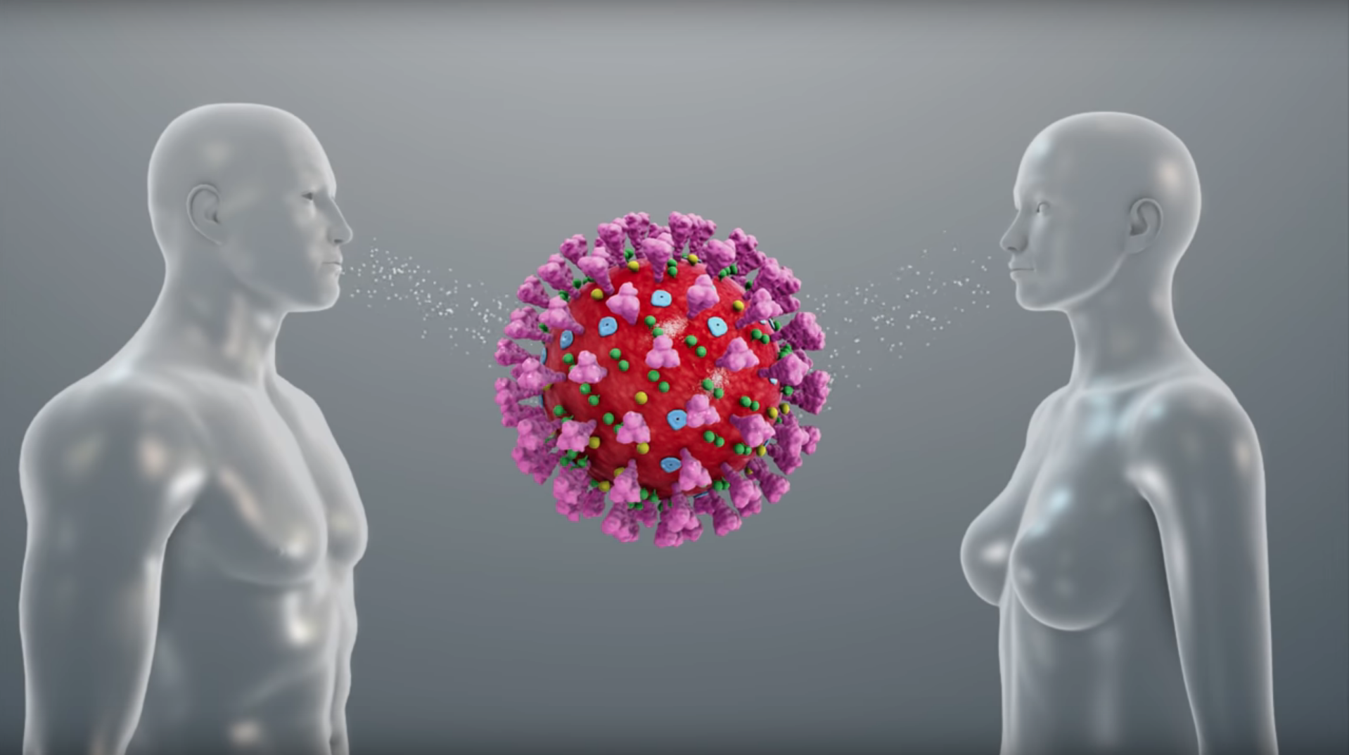 Transmission of coronavirus shown using a 3D medical animation