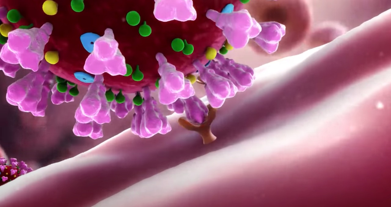 Medical Animation Still Shot Showing the SARS CoV-2 Spike Protein Binding to ACE-2 Receptor