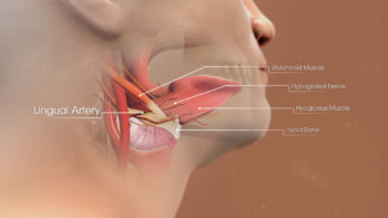 3D Medical Animation still shot structure Lingual Artery